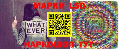 индика Анжеро-Судженск