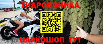 индика Анжеро-Судженск