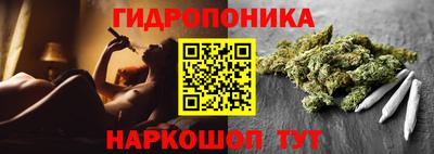 индика Анжеро-Судженск