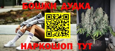 индика Анжеро-Судженск