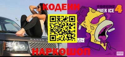 индика Анжеро-Судженск