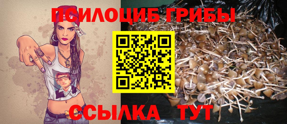 Псилоцибиновые грибы MAGIC MUSHROOMS  Вход с VPN  Дзержинск 